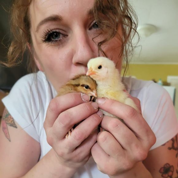 Meet your Posher, Kristyn - Picture 1 of 1